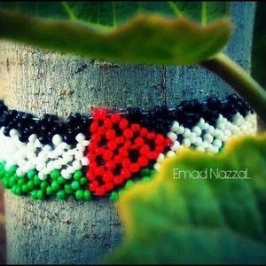 Meet your Posher, Nahil